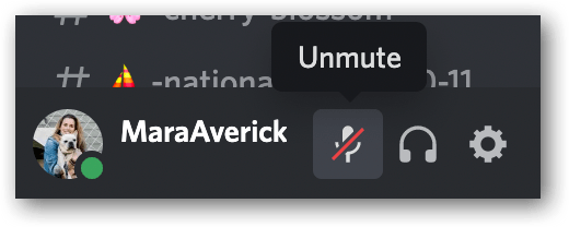 User icon and name left with microphone icon next to it crossed out and Unmute written in the tooltip above it.