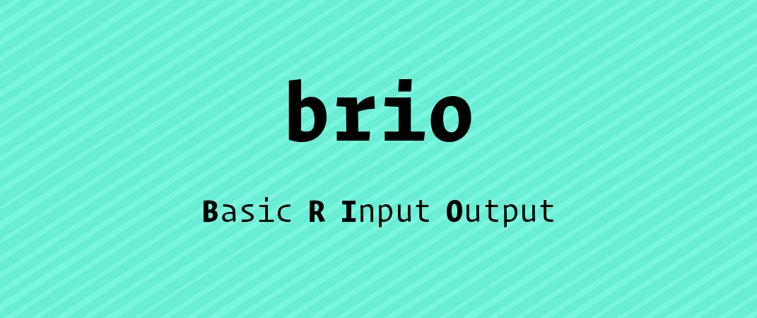 Teal rectangle that says brio above Basic R Input Output.